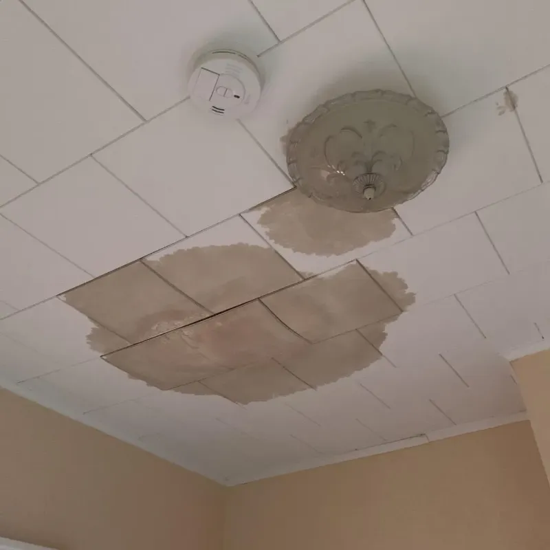 Ceiling Water Damage Repair in Maryville, TN