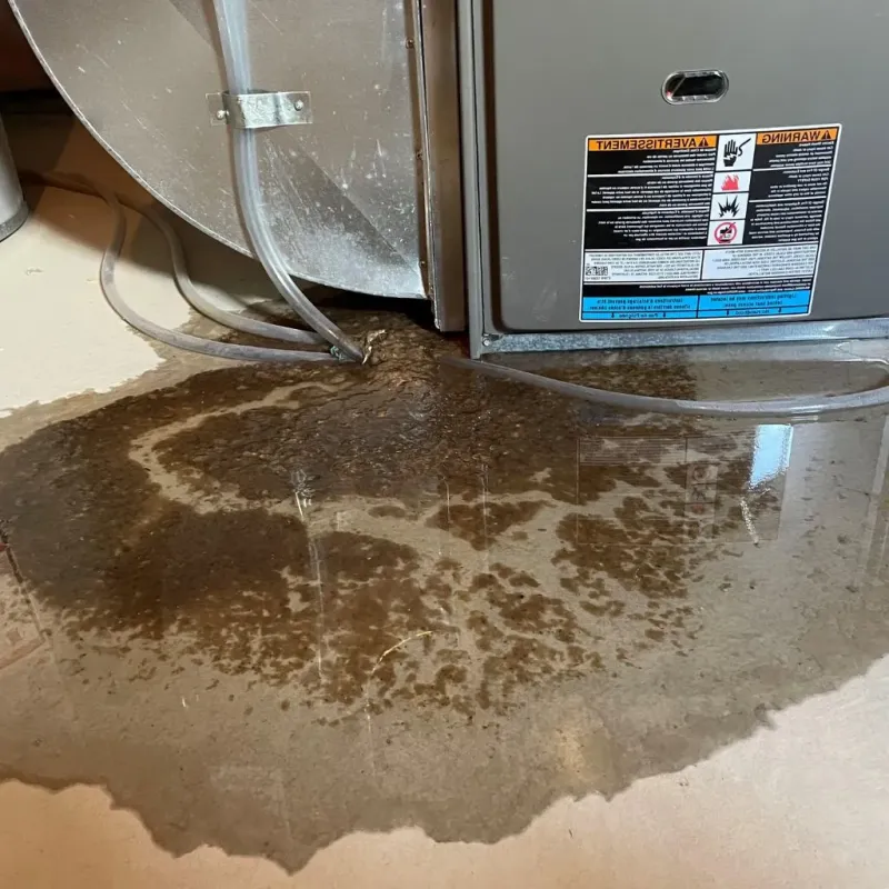 Pipe Burst and Leak Restoration in Maryville, TN