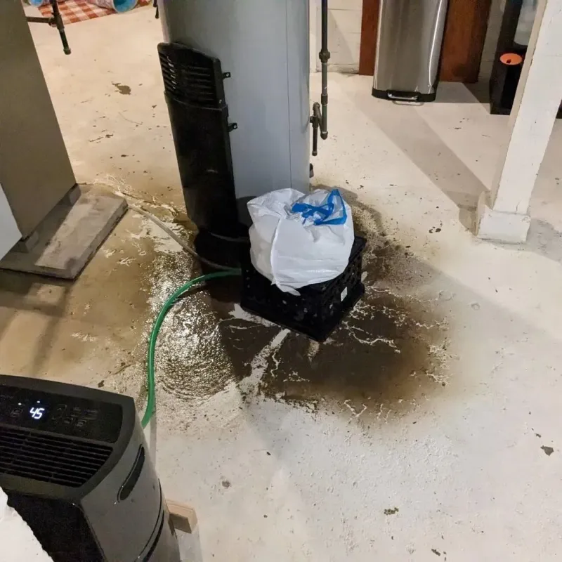 Sewage Backup Cleanup Service in Maryville, TN
